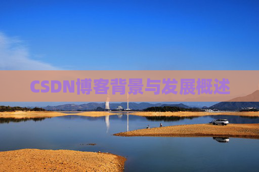 CSDN博客背景与发展概述